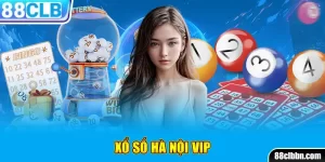 Hà Nội Vip