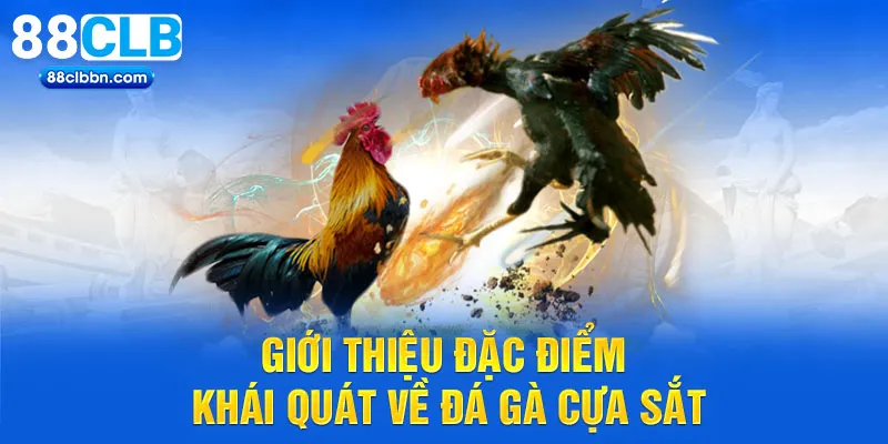 Giới thiệu đặc điểm khái quát về đá gà cựa sắt