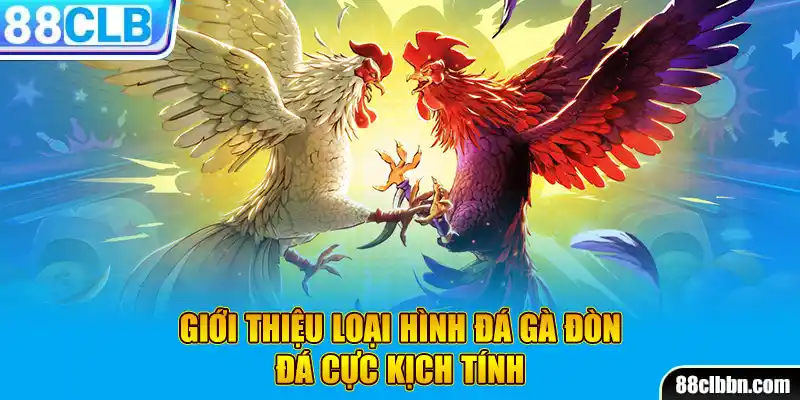 Giới thiệu loại hình đá gà đòn, đá cực kịch tính