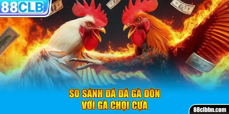 So sánh đá đá gà đòn với gà chọi cựa